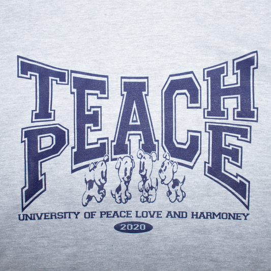 Teach Peace Tee - Grey
