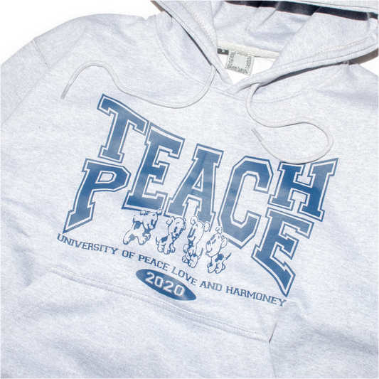 Teach Peace Hoodie - grey